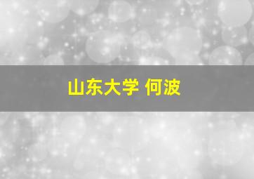 山东大学 何波